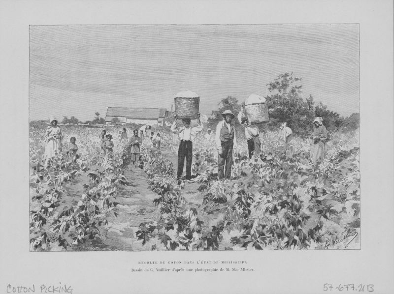 cotton plantations 1800s
