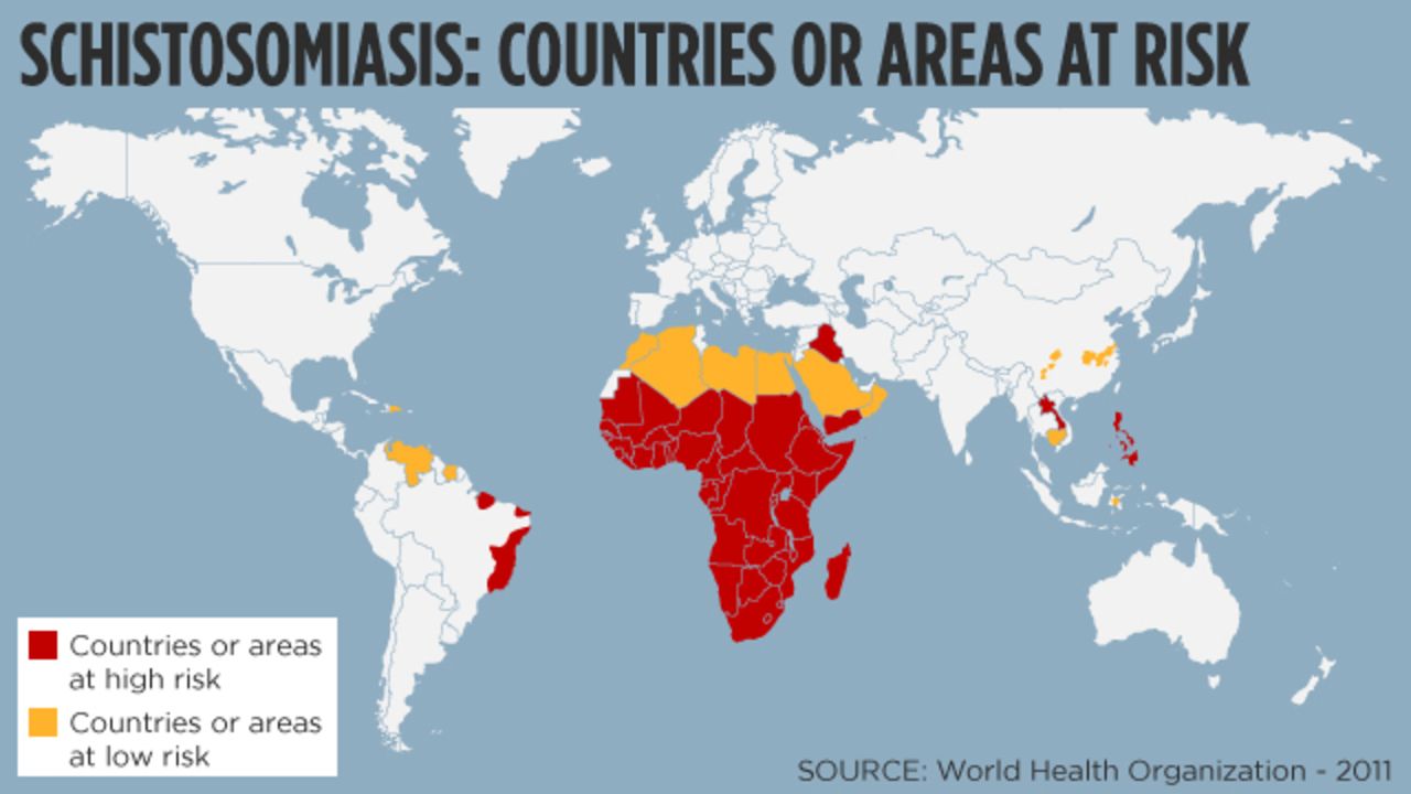 Countries with a risk of schistosomiasis: Source - WHO 2011