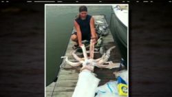 pk giant squid caught off matagorda coast_00005414.jpg