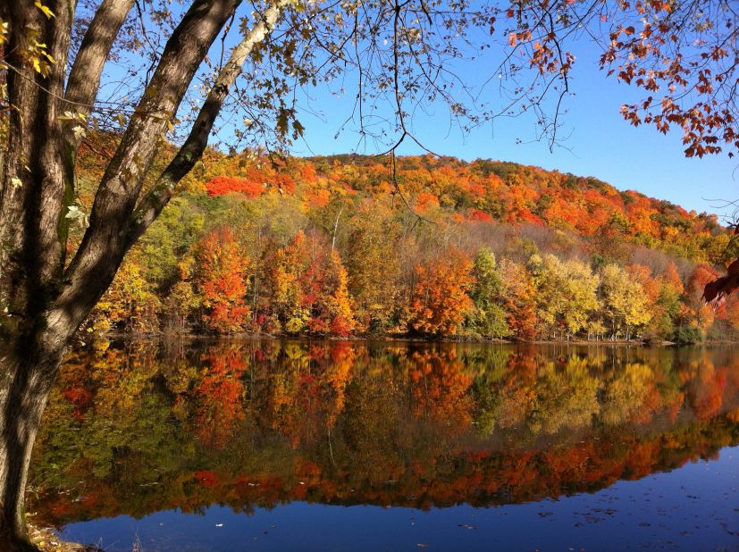 <a href="http://ireport.cnn.com/docs/DOC-865451">Michael Maier</a> lives just a few miles from the Ramapo Valley County Reservation in New Jersey, where he and his wife go hiking. 'It is not a spectacular setting, like the Rockies or the Grand Canyon, but it has its own natural beauty and charm, with streams, lakes, a river, hiking trails, stone footbridges, an abundance of trees, boulders, and even a small waterfall," he said. 