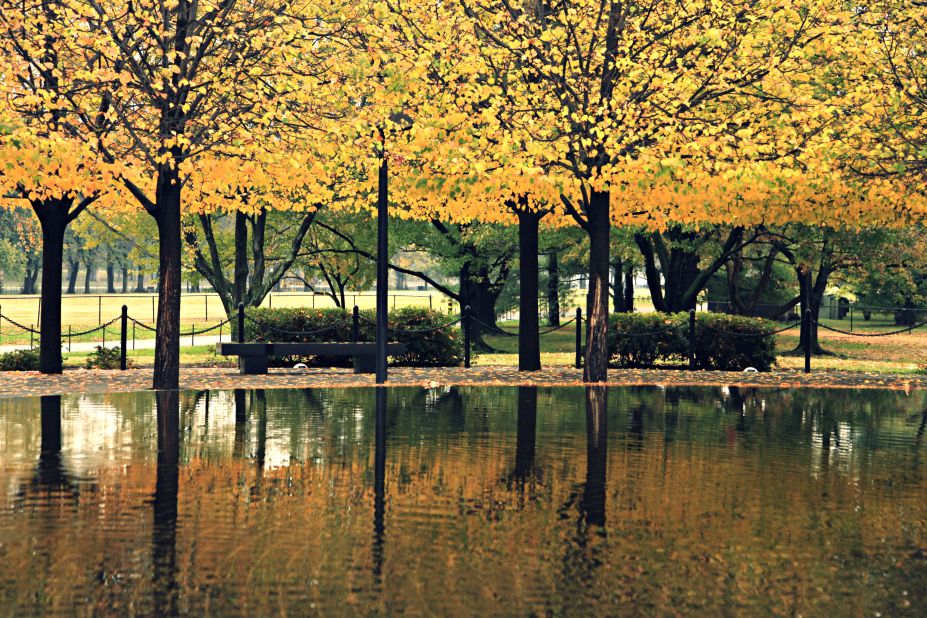 <a href="http://ireport.cnn.com/docs/DOC-1062153">Sandy Ibrahim Major </a>was visiting the Vietnam Veterans Memorial in 2013 when she took this picture. "The way the water beautifully mirrored the colorful fall leaves of these perfectly aligned trees caught my attention," she said. 