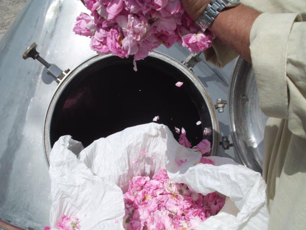 Afghan farmers distill native rose blossom for "7 Virtues" fragrance Noble Rose of  Afghanistan, which is now sold in some of the world's most famous luxury boutiques. 