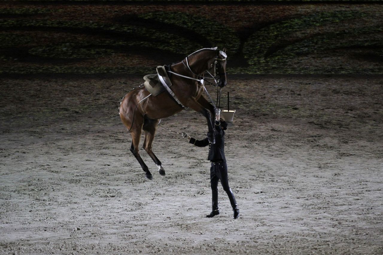 World Equestrian Games Sights, sounds and groundbreaking hounds CNN