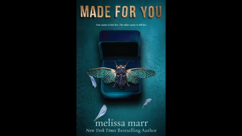 Melissa Marr, author of the bestselling Wicked Lovely series, returns with a thriller. Eva Tilling wakes up in the hospital trying to remember why someone tried to kill her. When she discovers that she can foresee people's deaths when they touch her, the mystery deepens. Booklist says readers will enjoy how "this twisted modern southern gothic tale unfolds through the multiple perspectives."
