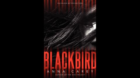 Sunny wakes up to face a train hurtling toward her on the subway track with no memory of her identity. But everyone she encounters seems eager to kill her. She has few clues about her past, including a blackbird tattoo and dreams of a mysterious young man. Kirkus Reviews says "this edgy, action-packed thriller gives future genre offerings something to aspire to."