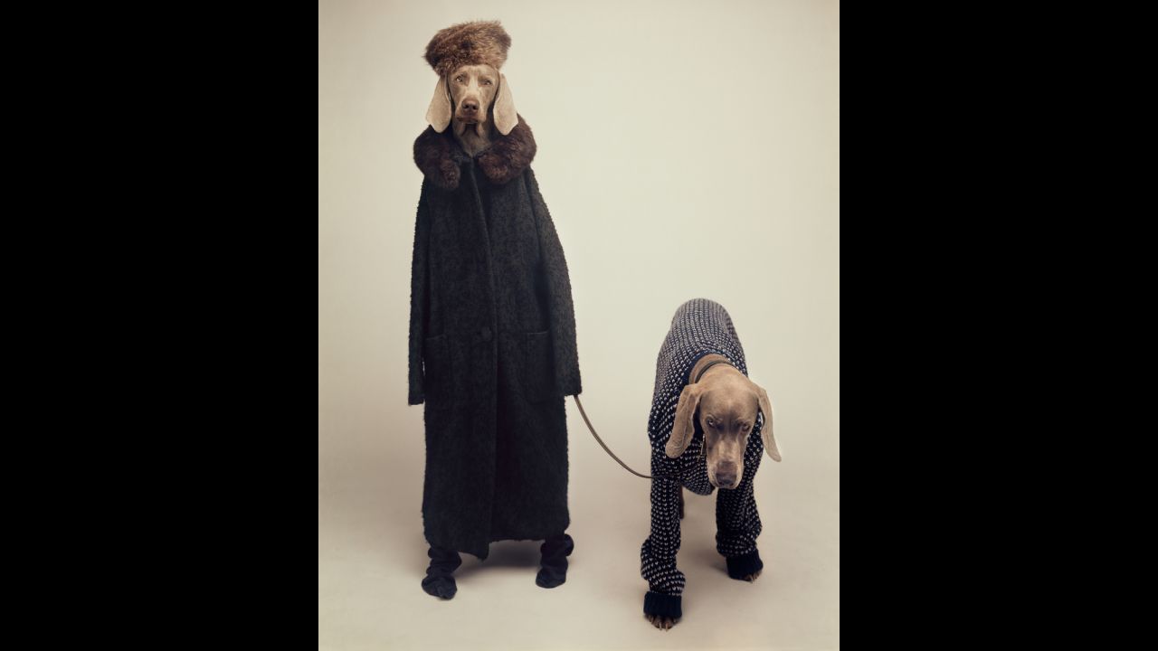 Some of Wegman's most enduring images feature dogs in costumes. For "Going Out" (1990) Wegman dressed up Fay and her daughter Batty in outerwear.