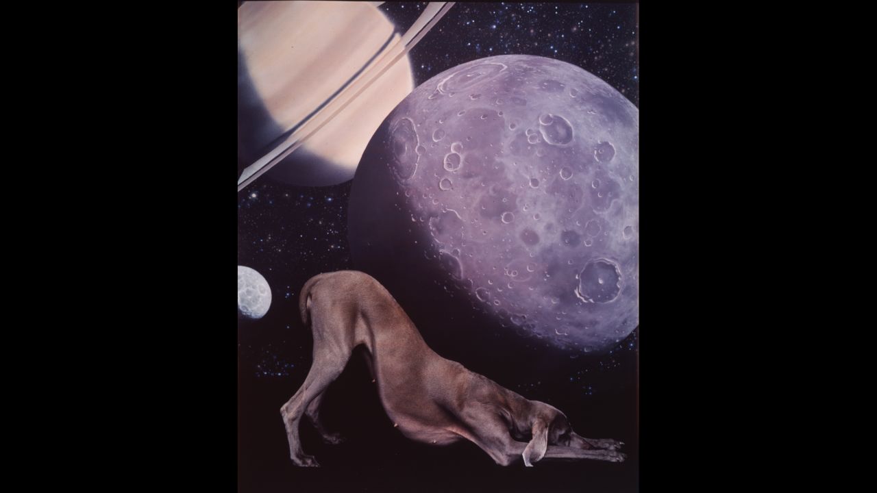 Fay's daughter Batty was a frequent subject in Wegman's work, including "Homage to Space" (1995). Batty eventually had her own puppies that Wegman also used in his work.