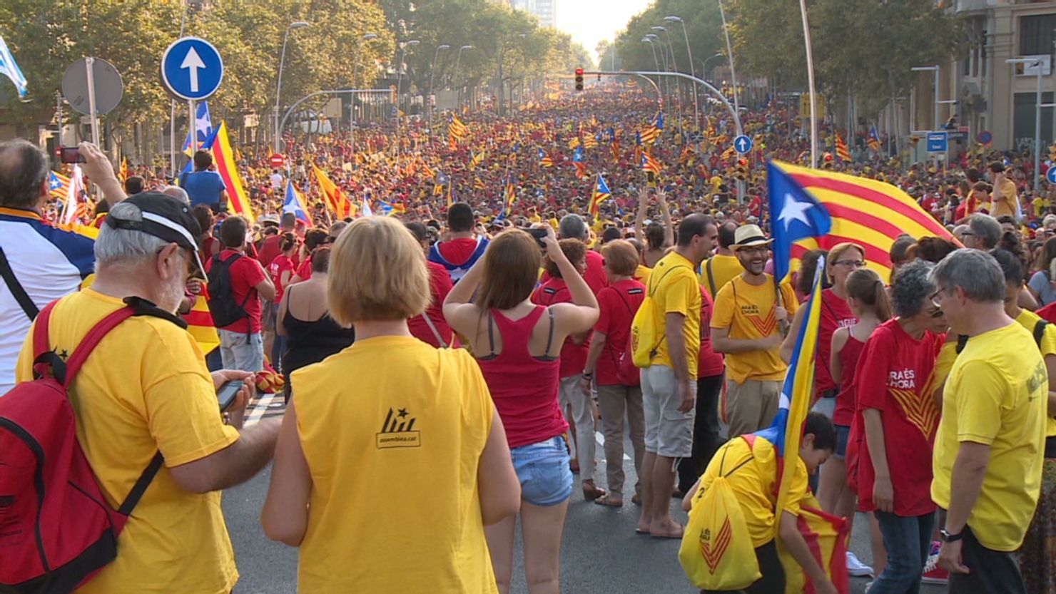 Catalans march in Barcelona on September 11, 2014, to celebrate their National Day.