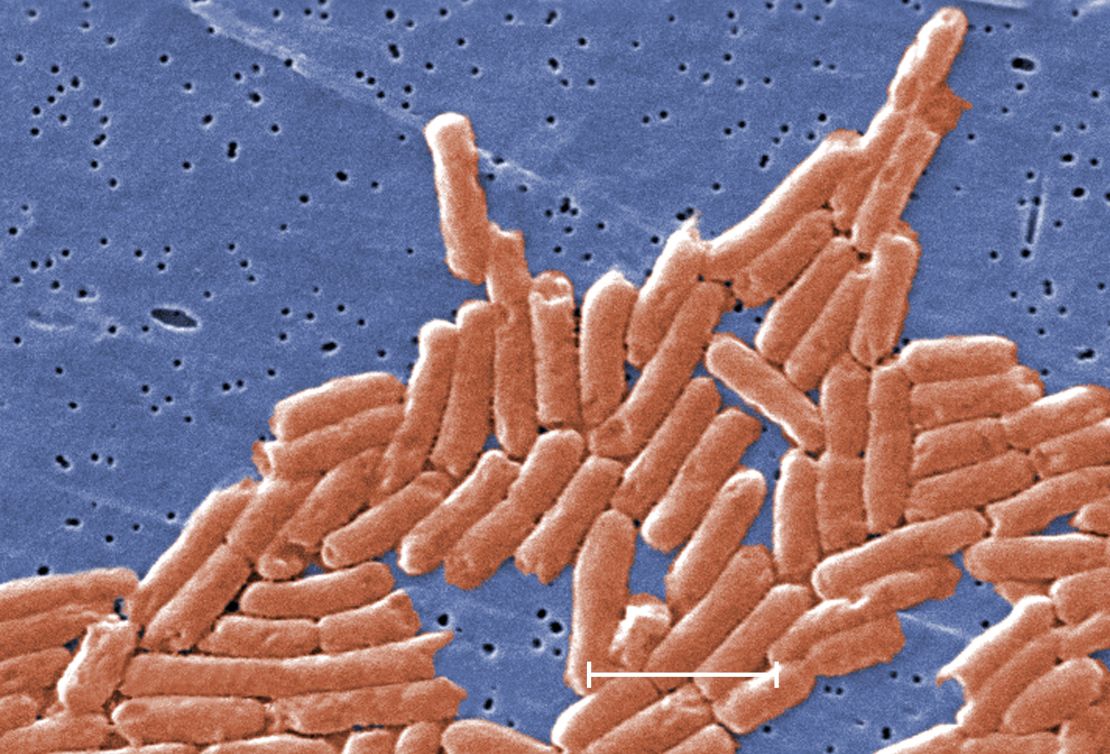 Salmonella enterica bacteria become more virulent and therefore better at causing disease in the micrograity environment of space. 