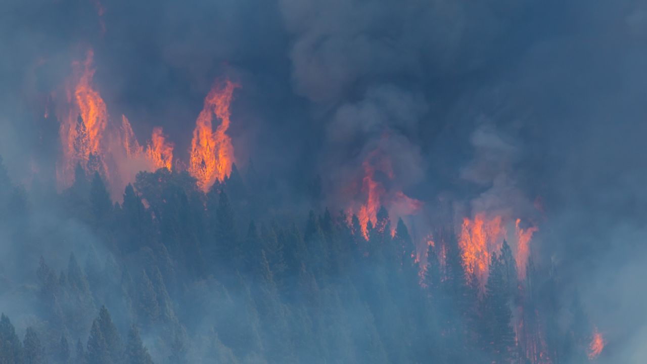 King Fire