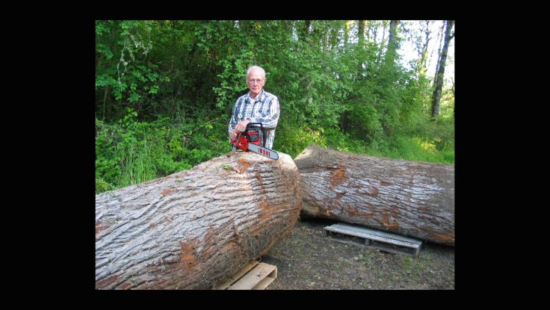 Oregon-based Hoyt works only in wood and starts each piece from the roots. "I like to work in three-dimensional mediums as I feel that art work should be touched," he says. "The larger pieces go for $150,000. They're over two meters long and usually take about 6-9 months from beginning to end."