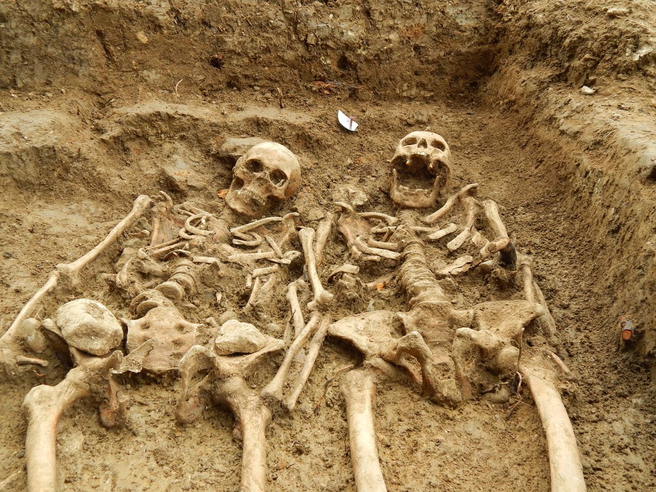 A couple of skeletons which have been "holding hands" for 700 years have been uncovered at the lost chapel of St Morrell in Leicestershire, central England.