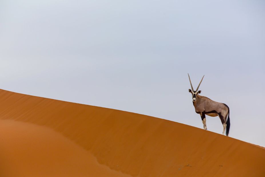 National Geographic Adventures offers photo trips that pair travelers with star photographers. The 13-day adventure to Namibia (pictured) is mostly an easy walking trip with one day of kayaking.