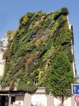 The Oasis d'Aboukir in Paris, France, is one of French botanist Patrick Blanc's most renowned vertical gardens. He has been making them for more then three decades, combining his deep botanical knowledge with a near-evangelical urge to bring gardens into the most inaccessible parts of the city. This example contains 7,600 plants, taken from 237 species.