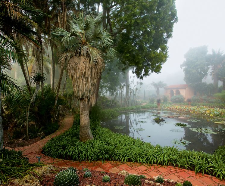 This may look like a tropical swamp, but it is part of the eccentric and eclectic Lotusland gardens in Santa Barbara, California. Created by the flamboyant Polish opera singer Ganna Waska, it features this water garden, created in an old swimming pool. Asian lotuses were planted in "a tribute to Eastern philosophy".