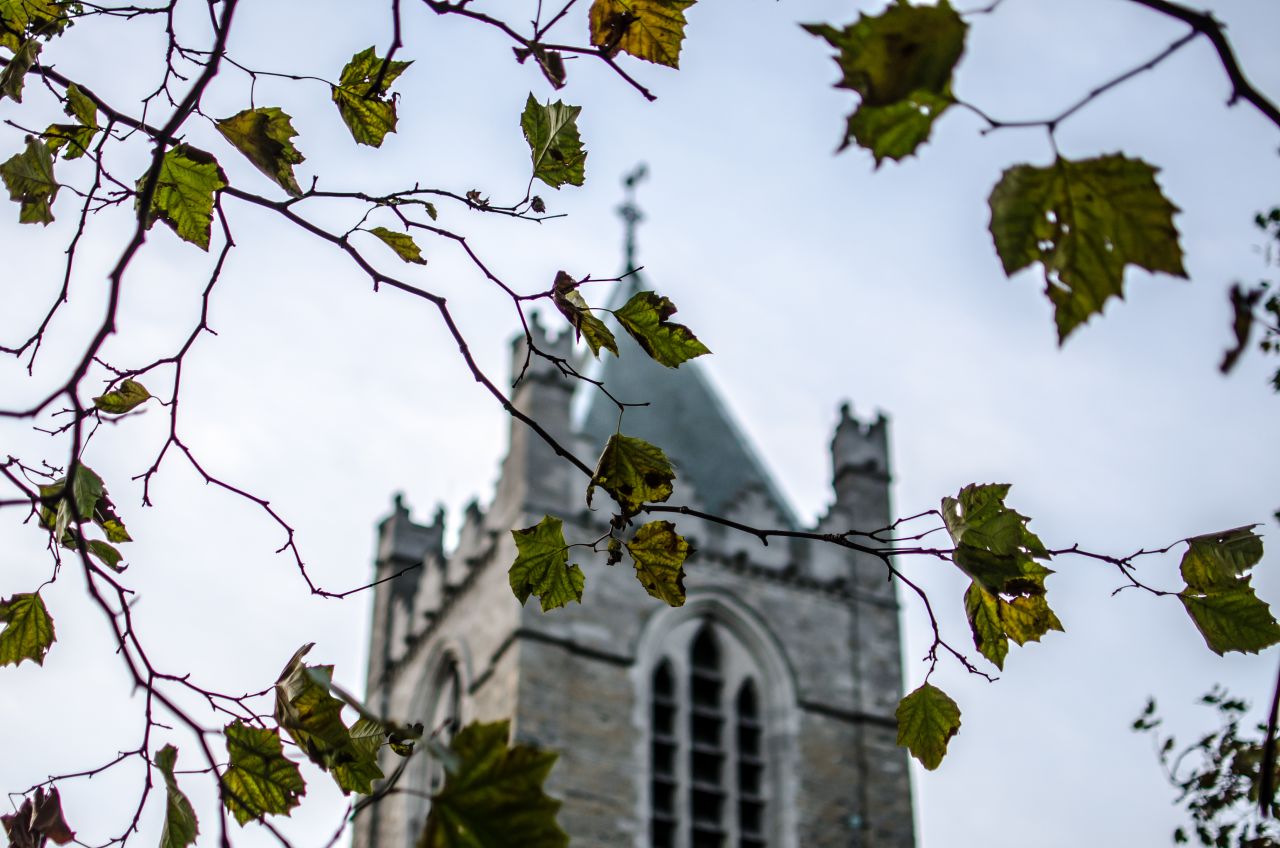 Green leaves just starting to color dangle in front of <a href="http://ireport.cnn.com/docs/DOC-1106018">Christ Church Cathedral</a>. The church, located in Dublin, Ireland, is one of the city's two medieval cathedrals.