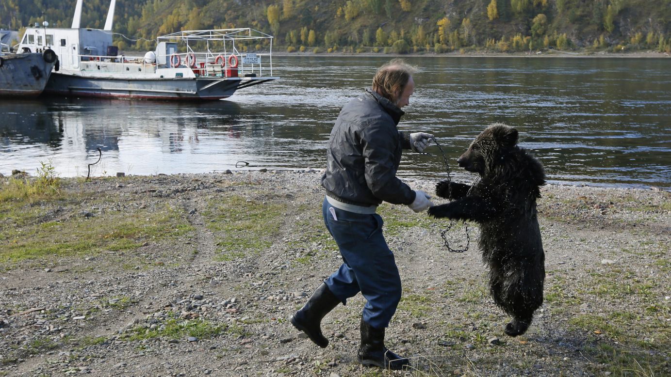 Alexander Kharatokin plays with a 9-month-old brown bear named Masha on the banks of the Yenisei River, outside of Krasnoyarsk, Russia, on Friday, September 19. Kharatokin, who lives in a wooden hovel near the river, adopted the orphaned bear after it was found this spring. 