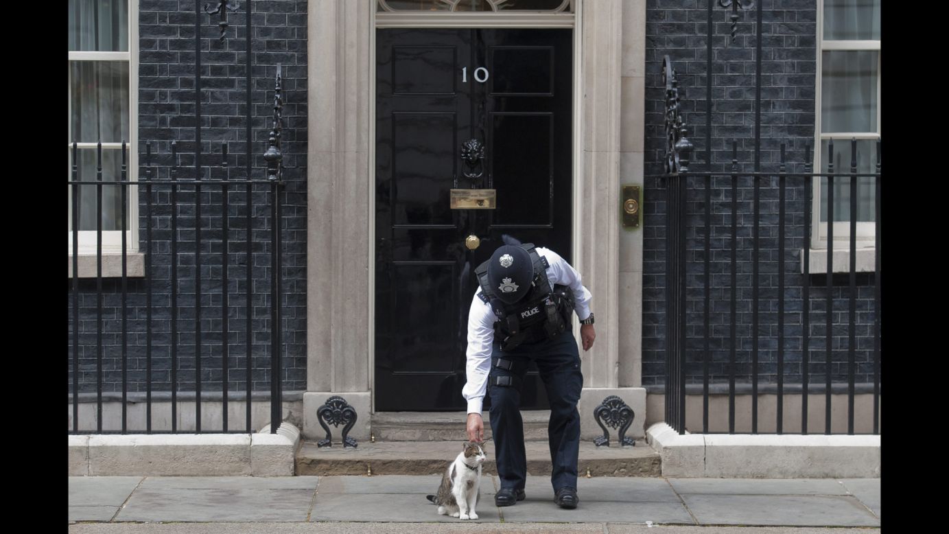 A police officer bends down to pet Larry, the cat of British Prime Minister David Cameron, outside 10 Downing Street in London on Thursday, September 25.