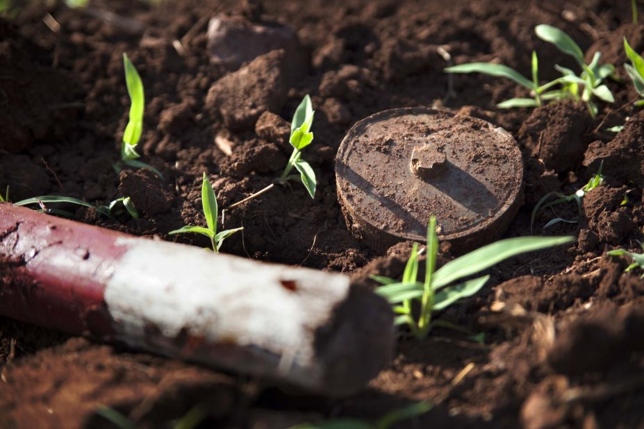 Since then, Apopo has cleared the country of 6,693 landmines, 29,934 small arms and ammunition, and 1,087 bombs. It is on track to clear Mozambique of landmines by the year's end. 