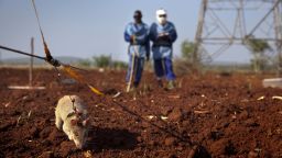 Apopo mine detection rat mozambique