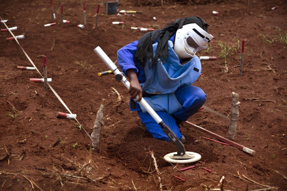 After a rat detects a mine, a manual deminer extracts the device. A single rat can clear 200 square feet in under an hour. It will take a manual deminer working alone about 50 hours to clear the same space. 