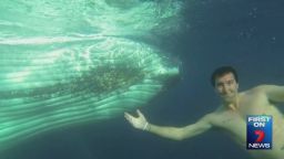dnt people swim with whales_00003412.jpg