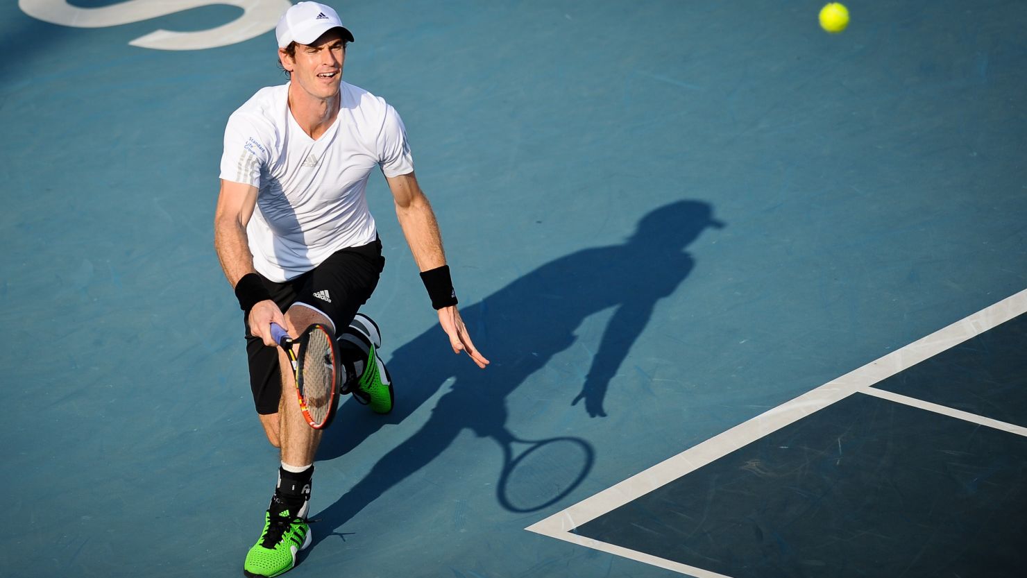 Andy Murray will face Tommy Robredo in the Shenzhen Open final on Sunday.  