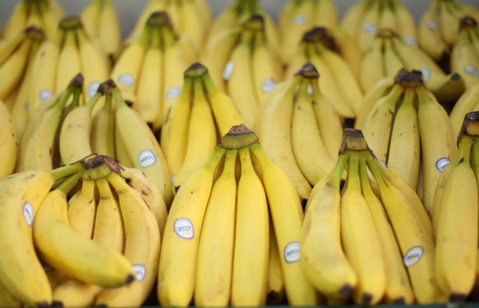 The supermarket variety of the banana fruit, the Cavendish, is currently threatened by a disease know as "Tropical Race 4."