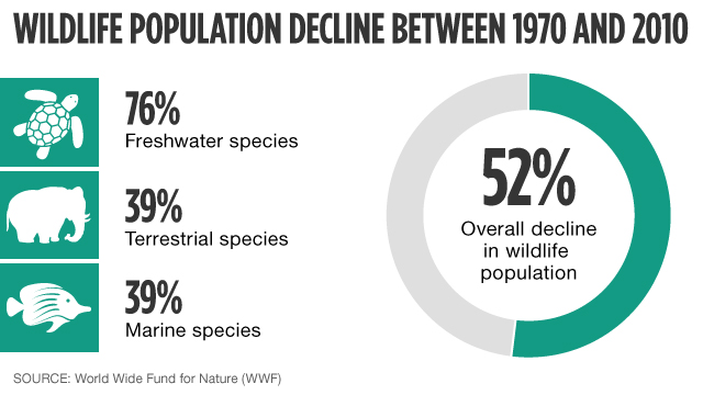 WWF: World Has Lost More Than Half Its Wildlife In 40 Years | CNN Business