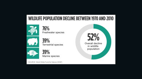 Wildlife population decline