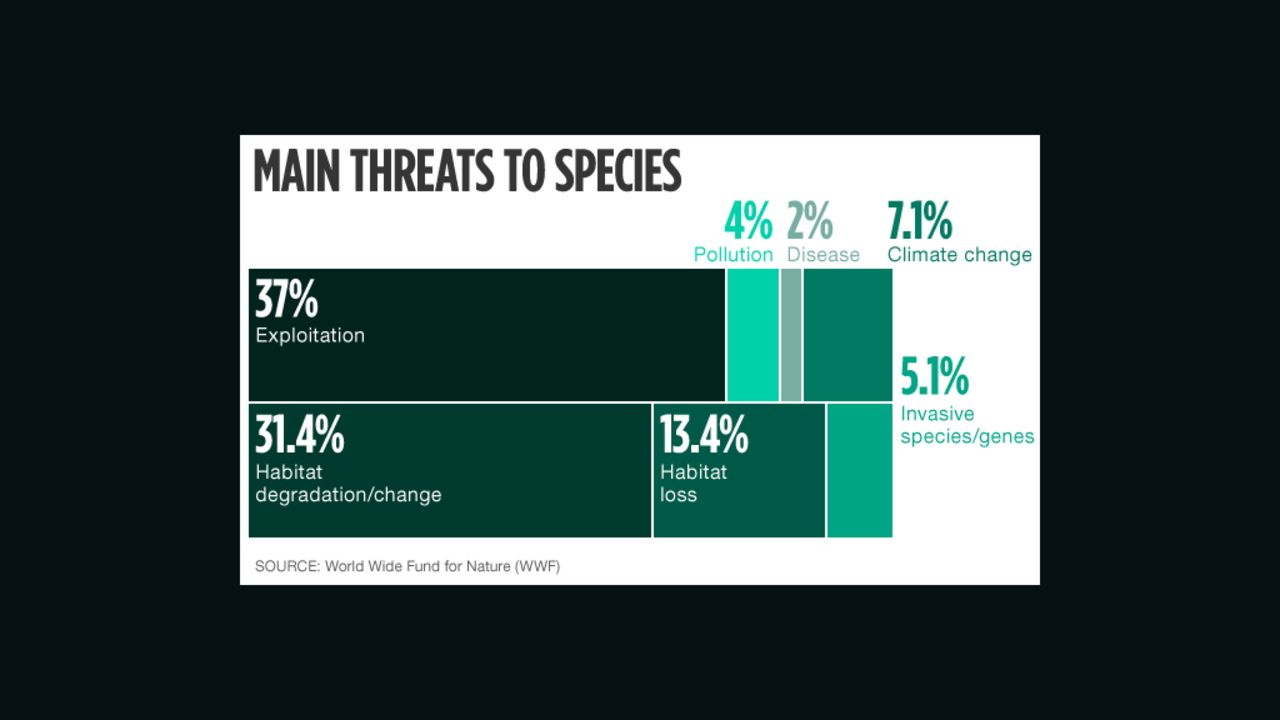 Main threats to wildlife