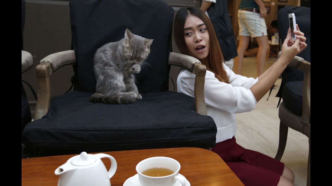 A woman tries to snap a selfie with a cat who lives at the Purr Cat Cafe Club in Bangkok, Thailand, on Sunday, September 28. About 15 cats live at the cafe, and people who visit have to stick to a number of cat-friendly rules that give felines the right of way.