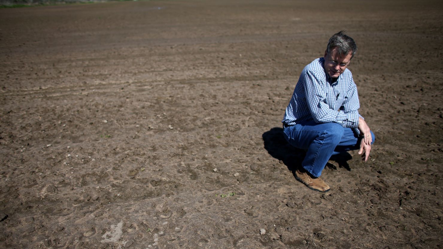 Ronald Gertson, a rice farmer, looks over his drought-stricken rice field.The lakes in central Texas are only 38% full. 