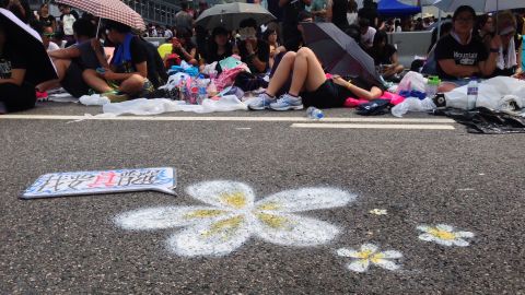 Hong Kong's bauhinia in chalk.