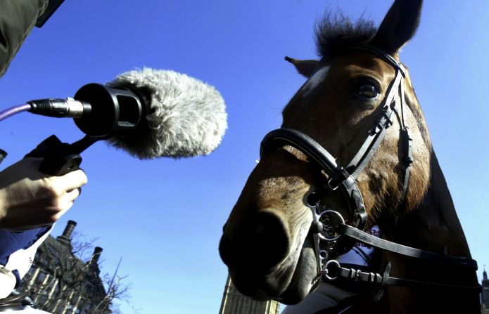 You can't do this in the middle of an Olympic final -- so what goes into capturing the sound of showjumping?