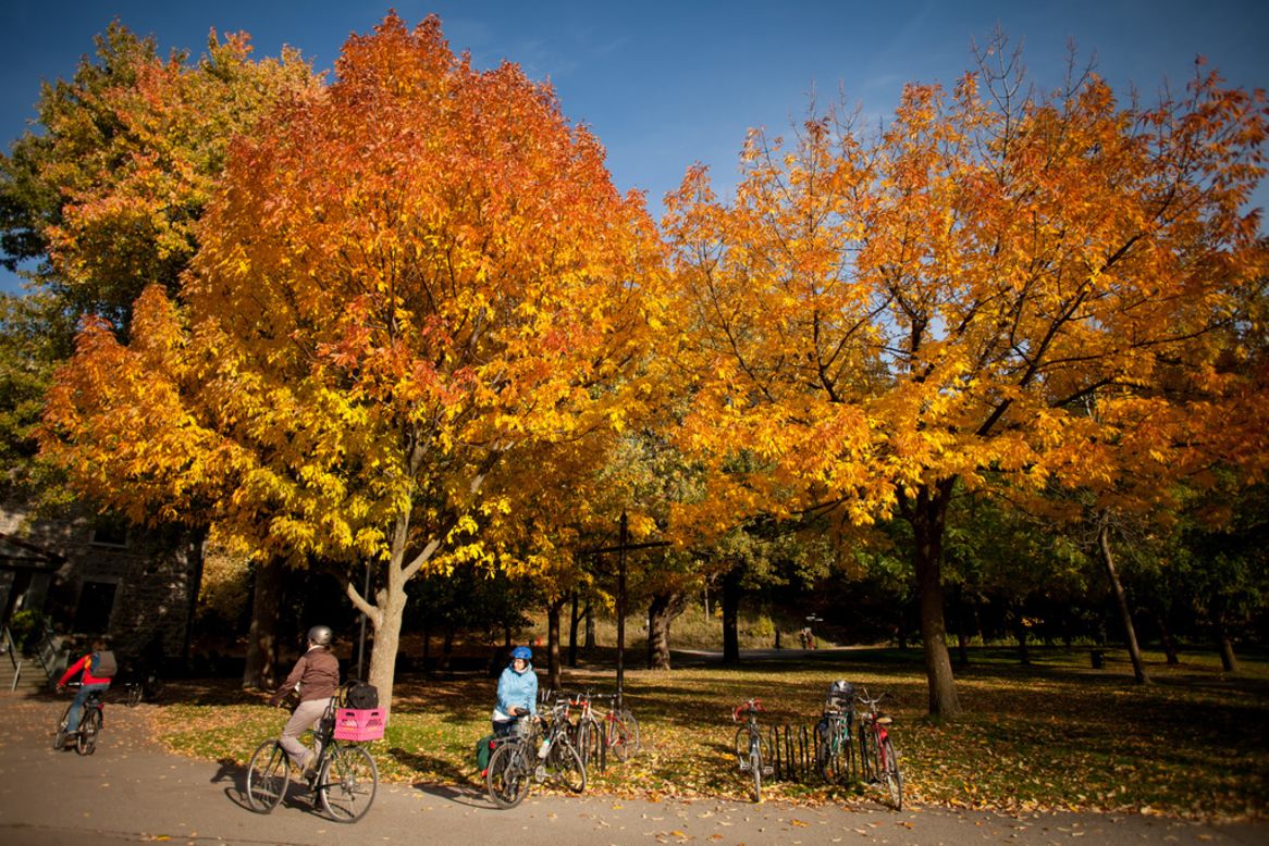 El Mont-Royal Park de Montreal está entrecruzado con una red de senderos para correr que ofrecen hermosas vistas del cambio de color en las hojas de otoño. 