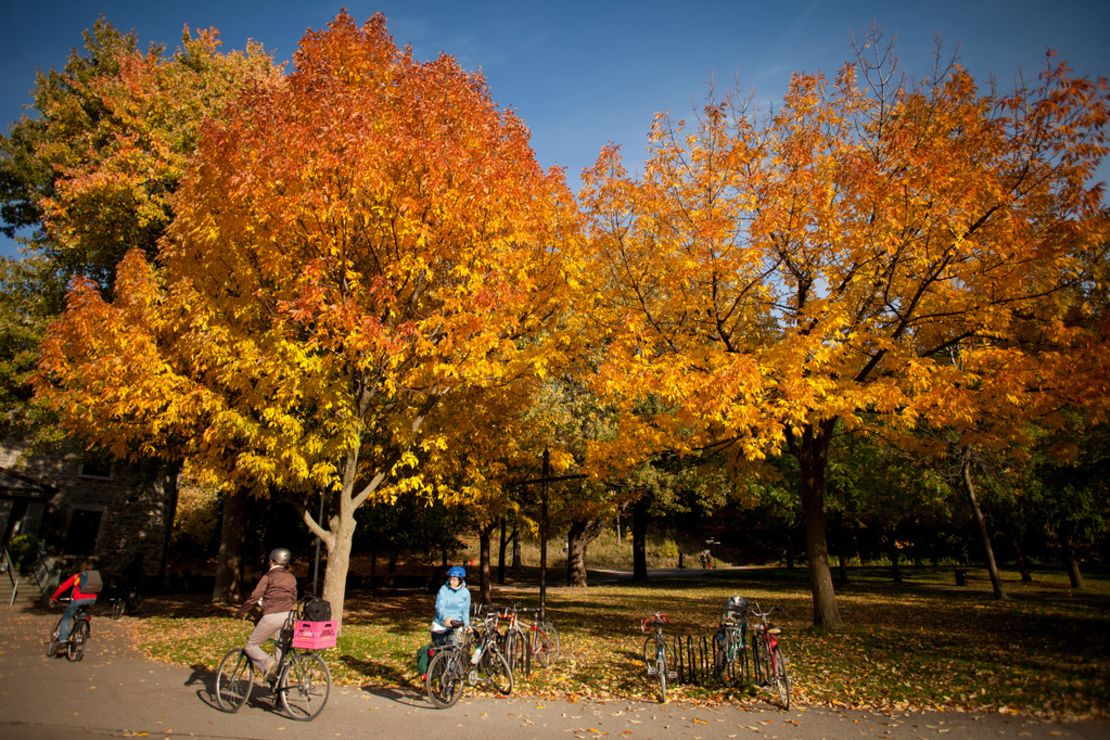 Montreal's Mont-Royal park is filled with running trails. 