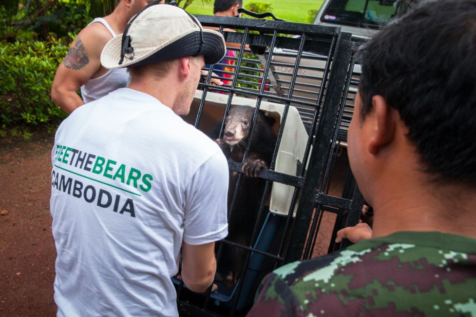 Regional director of Free The Bears, Nev Broadis tries to calm the cub before the nine-hour drive from Samlaut district in western Cambodia to the rescue center at Phnom Tamao, some 400kms away. <a href="http://www.erikapineros.com/" target="_blank" target="_blank">Photo by Erika Pineros.</a>
