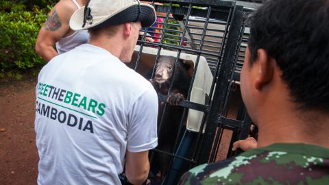 Nev Broadis tries to calm the moon bear cub, known as Rescue Number 182.