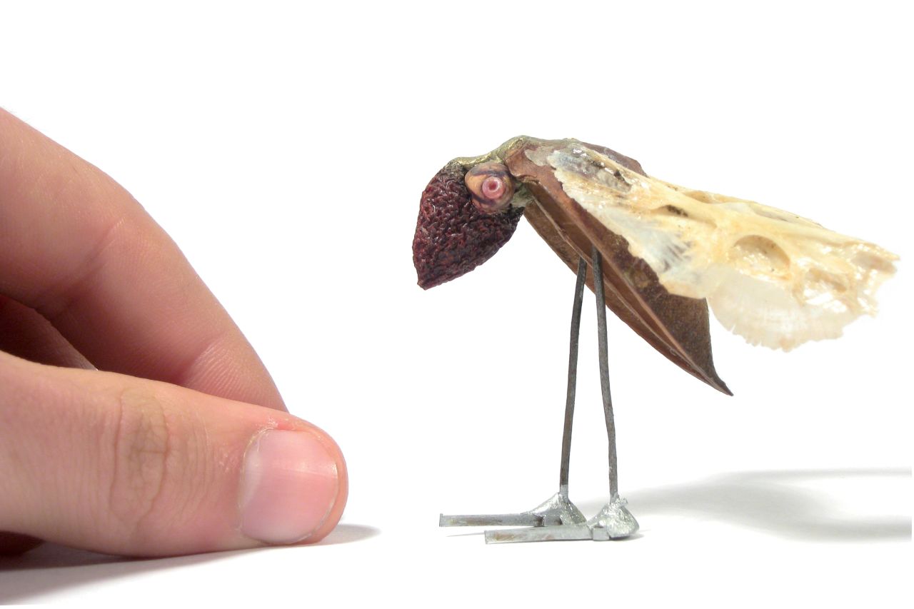 <em>Neodiabolepsis, Nicolas Labadia, 2008</em><br /><br />This sense of disorientation can also be found in works at the opposite end of the scale. The Chilean artist Nicolas Labadia uses discarded objects collected during long walks around Santiago -- a mixture of manufactured and organic items -- he creates a parallel micro world of small-scale hybrid creatures.