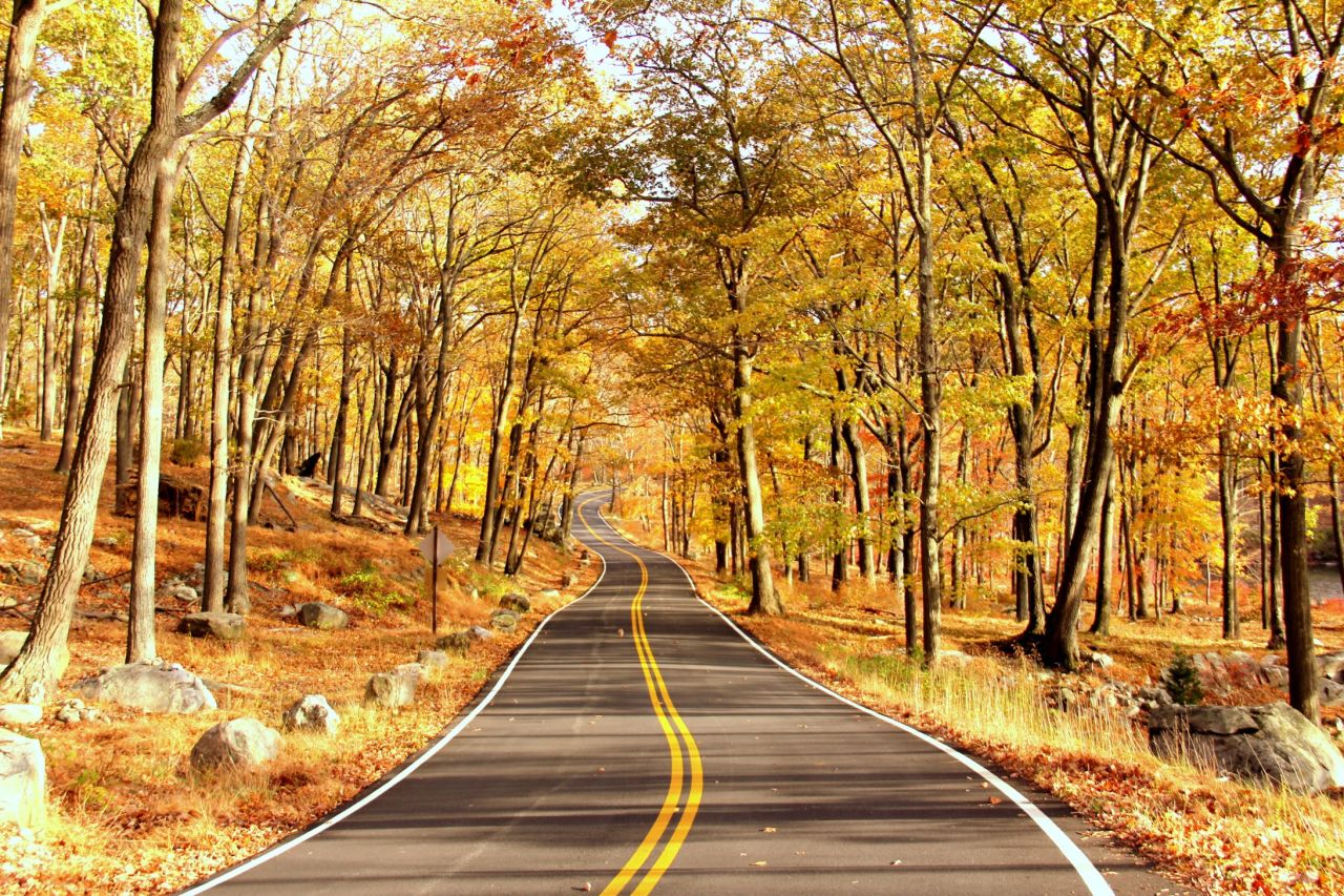 A canopy of crisp yellow and red leaves shade a lonely road in <a href="http://ireport.cnn.com/docs/DOC-1173459">Harriman State Park</a>. With 200 miles of hiking trails, it is the second largest state park in New York.