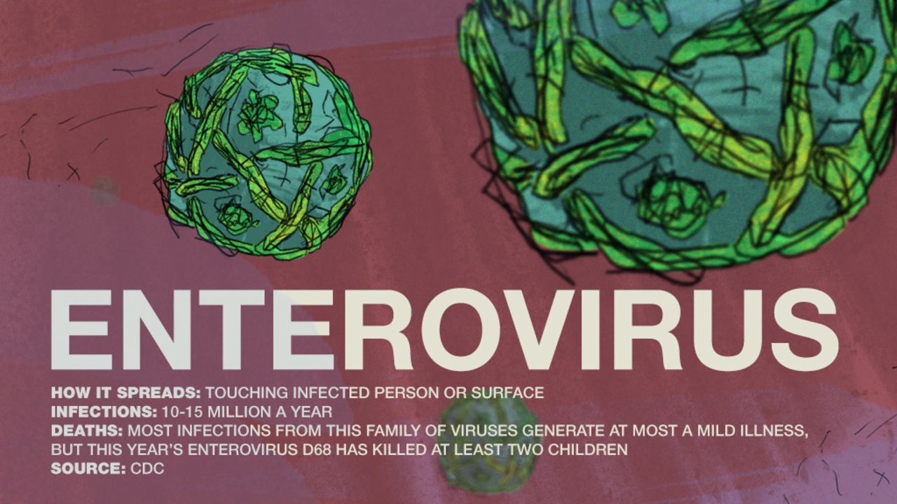 scaryvirus-06-enterovirus