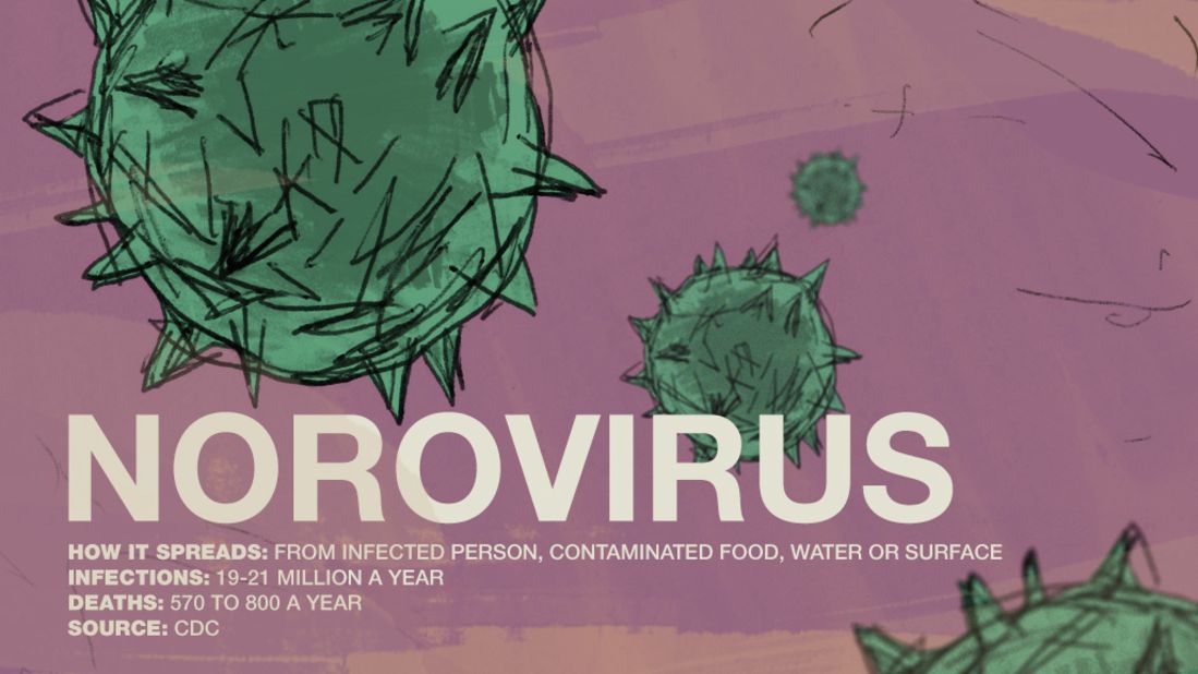 scaryvirus-05-norovirus