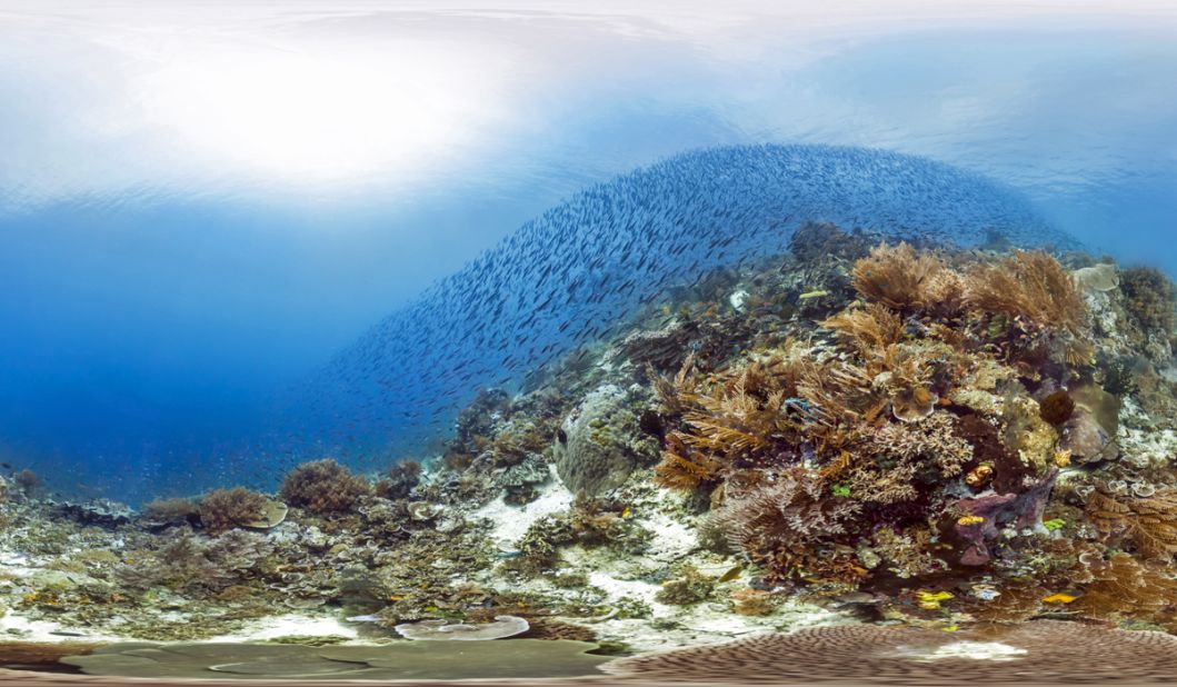 The Catlin Seaview Survey hopes monitoring reefs will help policy makers understand how reefs are being destroyed and what needs to be done to protect them.
