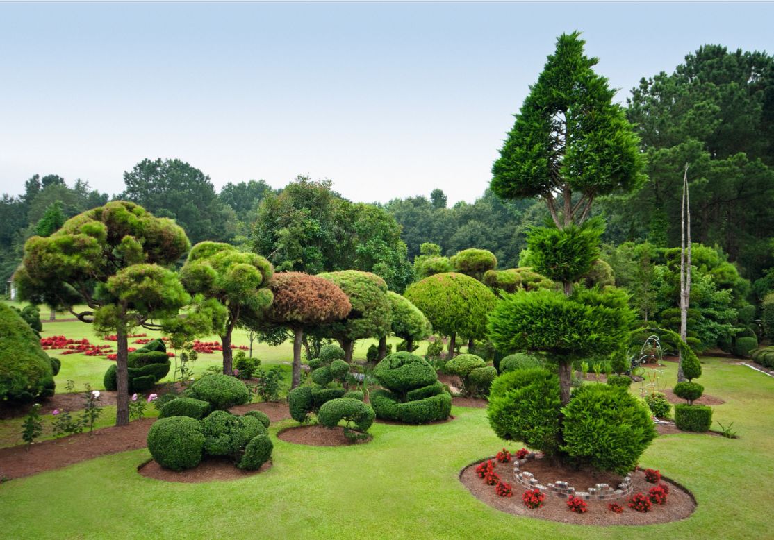 A rayas amante ir de compras Los jardines más vanguardistas del mundo | CNN