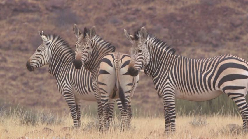 spc inside africa namibia conservation a_00011412.jpg