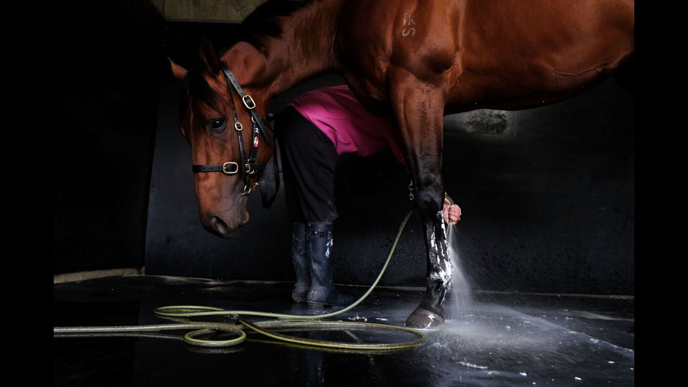 Bull Point is washed down Thursday, October 16, after a training session at Flemington Racecourse in Melbourne.