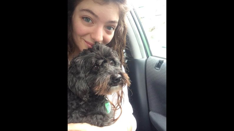 Grammy Award-winning singer Lorde smiles with her dog in this selfie <a href="https://twitter.com/lordemusic/status/524399667451146240" target="_blank" target="_blank">she tweeted</a> Monday, October 20. "Tried to take a qt selfie with my dog before i realized he is going through a deep existential crisis right now oops," she wrote.