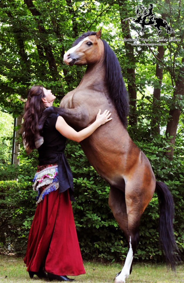 Grace and Faivre: Dancing horses | CNN