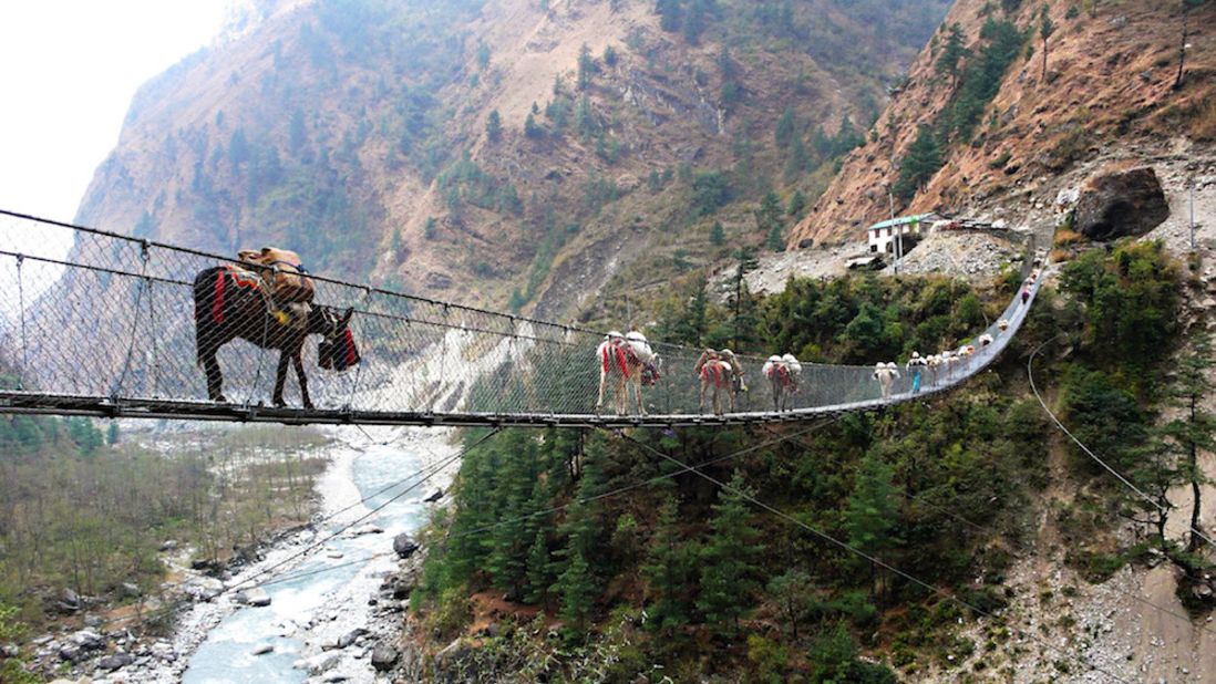 <strong>Hanging Bridge of Ghasa (Nepal): </strong>The  bridge was built to lighten congestion caused by animal herds heading up and down local roads. 